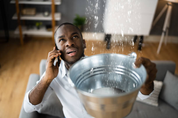 Best Ceiling water damage repair  in Sausalito, CA