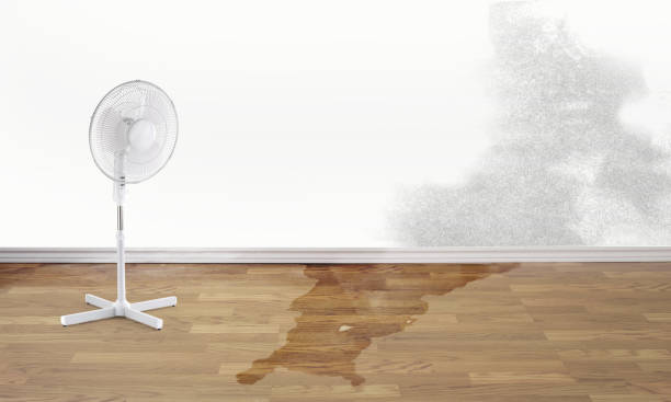 Best Fire Damage Restoration  in Sausalito, CA