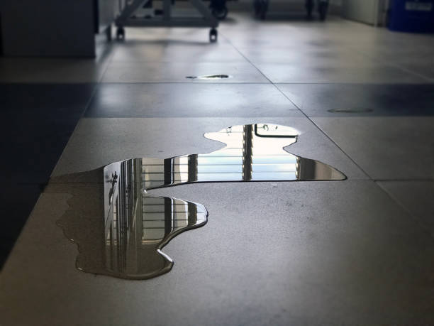 Best Emergency water damage restoration  in Sausalito, CA