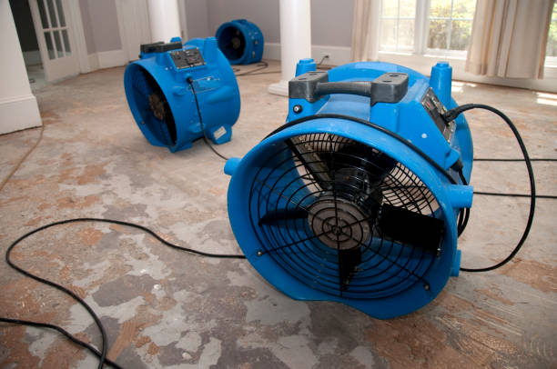 Best Water damage contractors near me  in Sausalito, CA