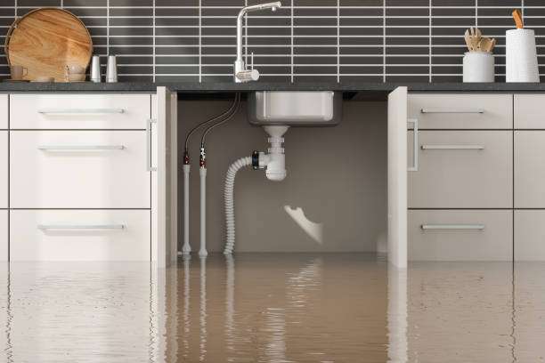 Trusted Sausalito, CA Water damage restoration Experts