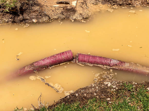 Best Flood restoration services  in Sausalito, CA